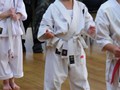 Junior Grading 29-11-2010 005