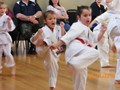 Junior Grading 29-11-2010 006