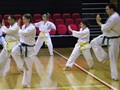 Senior Grading 11-12-2010 005
