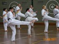 Day Training Seminar 11-6-2011 011