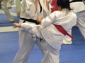 Junior Grading 19-5-2011 016