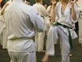 Shihan Ono Training Session 9-8-2011 009
