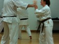 Shihan Hasegawa Training Session 29-3-2012 019