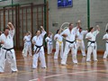 Day Training Seminar 1-6-2013 001