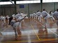 Day Training Seminar 1-6-2013 003