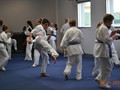 Intermediate Grading 30-11-2013 012