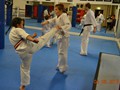 Junior Grading 4-6-2013 006