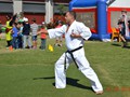 St.Patricks Day Demostration 17-3-2013 004