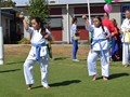 St.Patricks Day Demostration 17-3-2013 006