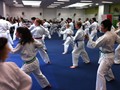 Intermediate Grading 7-6-2014 004