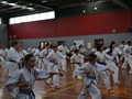 Sosai Mas Oyama Memorial Training Session 26-4-2014 007