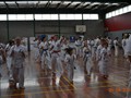 Sosai Mas Oyama Memorial Training Session 26-4-2014 009