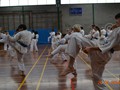 Sosai Mas Oyama Memorial Training Session 26-4-2014 010